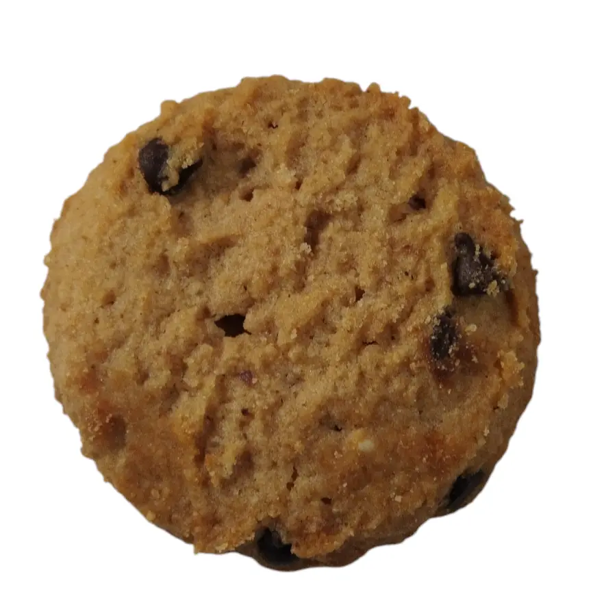 EL PANQUE DE DURANGO GALLETA CON CHIPA DE CHOCOLATE ZFA1