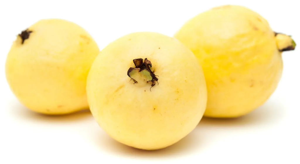 FV GUAYABA (KG)