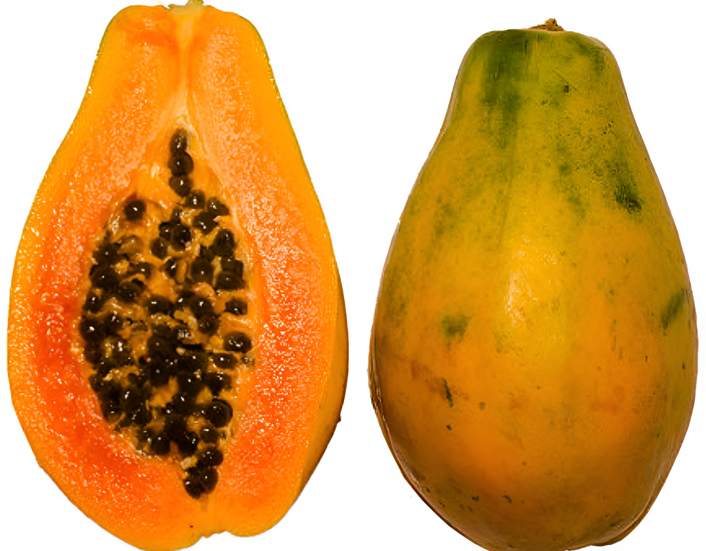 FV PAPAYA (KG)