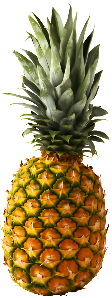 FV PIÑA (KG)