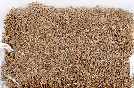 COMINO ENTERO 100 G