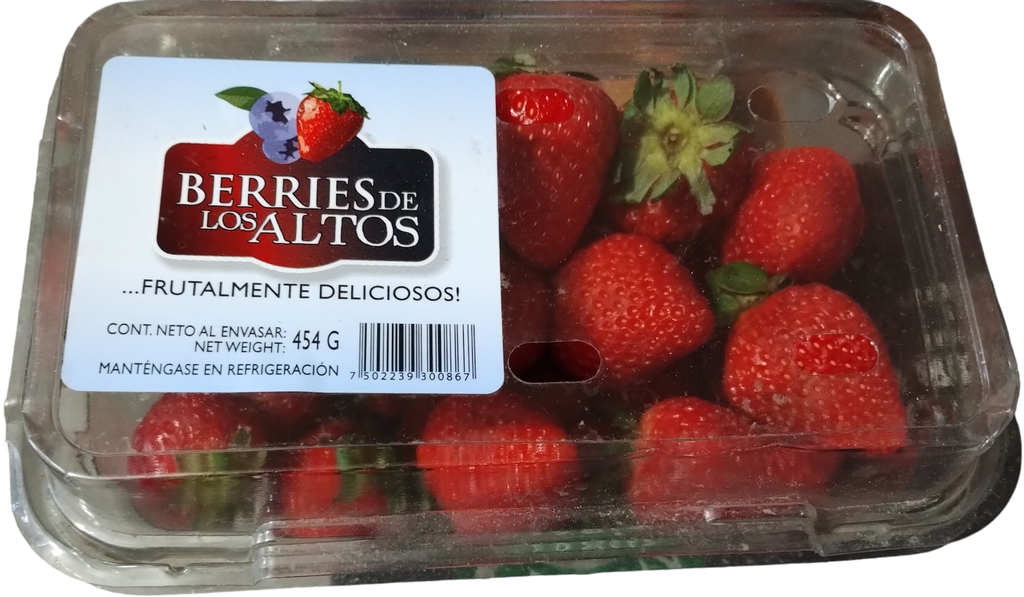 FV SOMERFIELD FARMS FRESAS 454 G (FSFF)