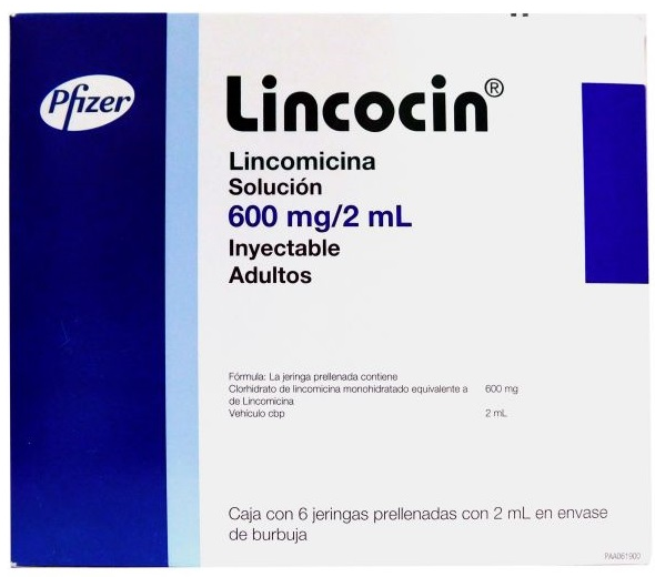 LINCOCIN LINCOMICINA SOLUCION 600 MG/2 ML 6 AMPOLLETAS