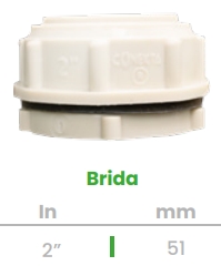 (CONEKTA) BRIDA 2"